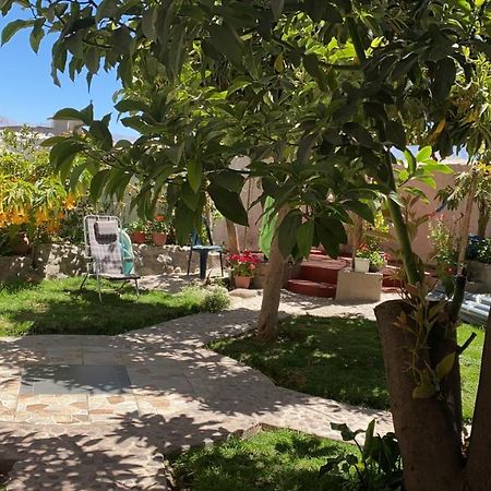 Las Palmeras Eco Hostel กาบานากอนเด ภายนอก รูปภาพ