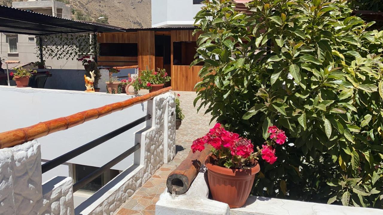 Las Palmeras Eco Hostel กาบานากอนเด ภายนอก รูปภาพ